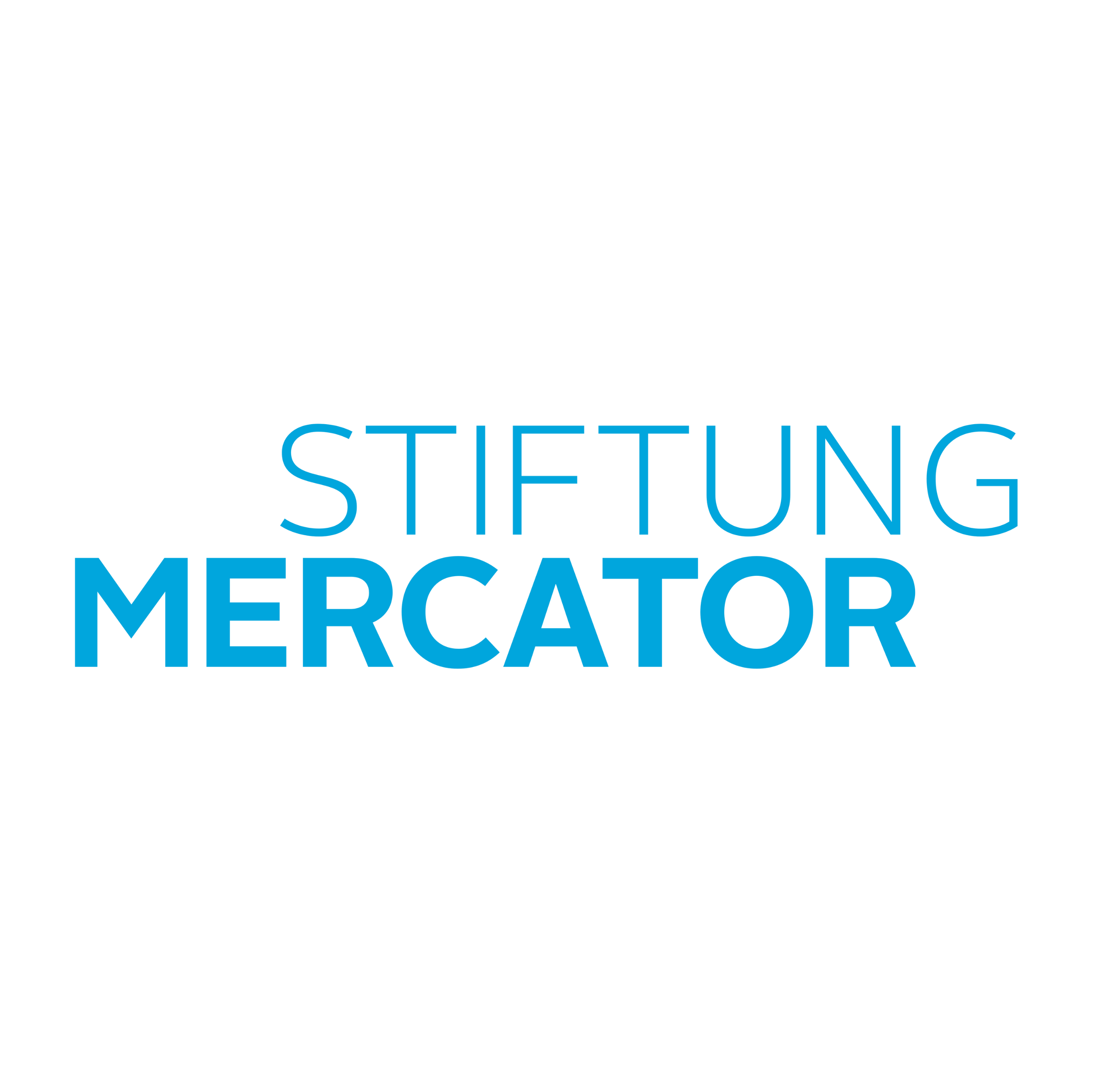 Mercator Stiftung Logo